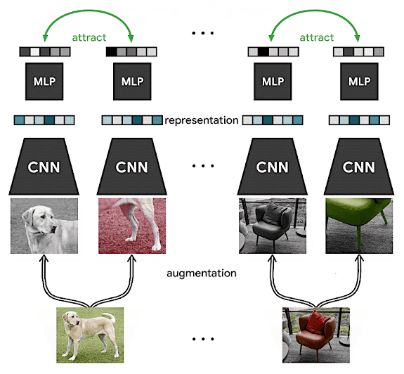 论文阅读：A Simple Framework for Contrastive Learning of Visual Representations